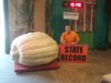 Big Daddy Punkin
