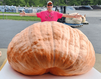 Wallace Organic Wonder